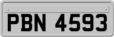 PBN4593