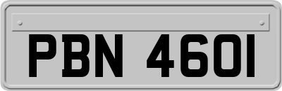 PBN4601