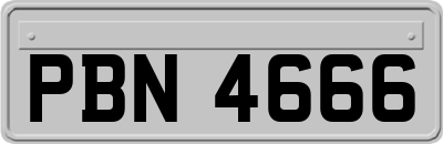 PBN4666