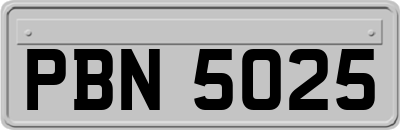 PBN5025