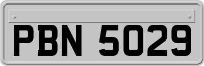 PBN5029