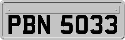 PBN5033