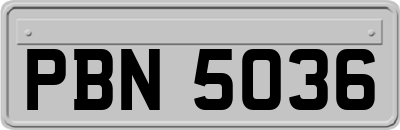 PBN5036