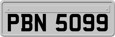 PBN5099