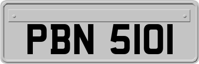 PBN5101