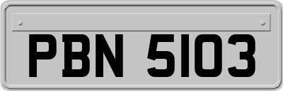 PBN5103