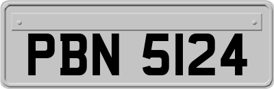 PBN5124