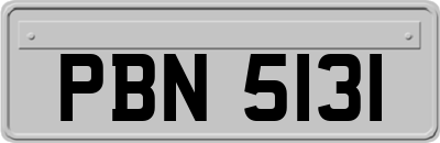 PBN5131