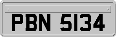 PBN5134