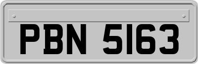 PBN5163