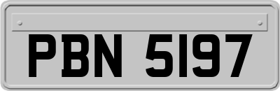 PBN5197