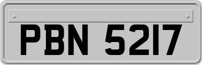 PBN5217