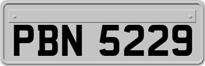 PBN5229