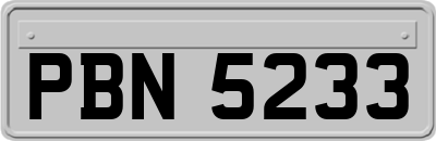 PBN5233