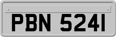 PBN5241