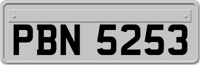 PBN5253