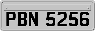 PBN5256