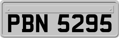 PBN5295