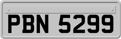 PBN5299