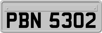 PBN5302