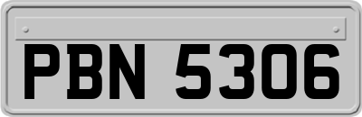 PBN5306