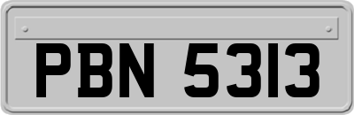 PBN5313