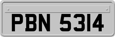 PBN5314