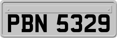 PBN5329