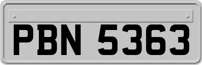 PBN5363