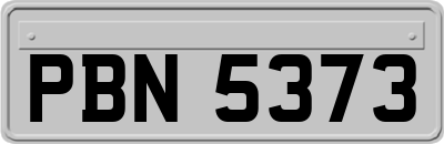 PBN5373