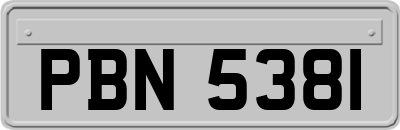 PBN5381