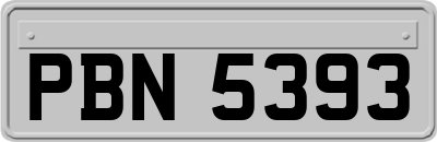 PBN5393