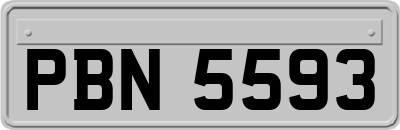 PBN5593