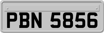 PBN5856