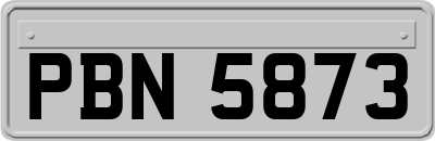 PBN5873