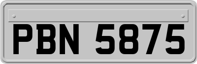 PBN5875