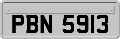 PBN5913