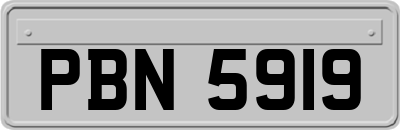 PBN5919