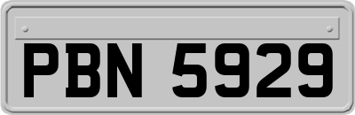 PBN5929