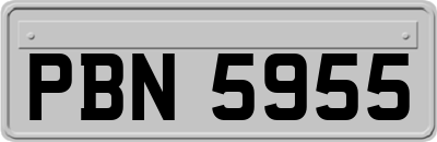 PBN5955