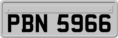 PBN5966