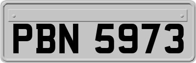 PBN5973