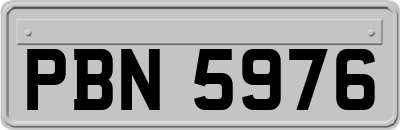 PBN5976