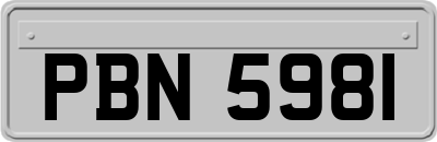 PBN5981