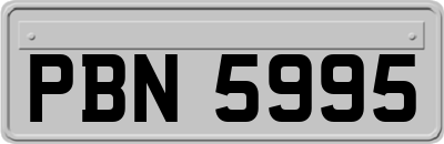 PBN5995