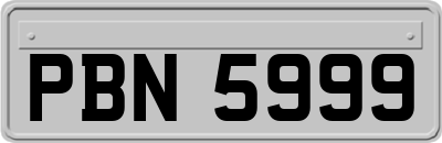 PBN5999