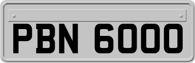 PBN6000