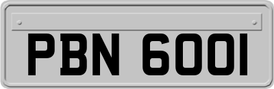 PBN6001