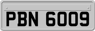 PBN6009