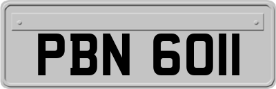 PBN6011